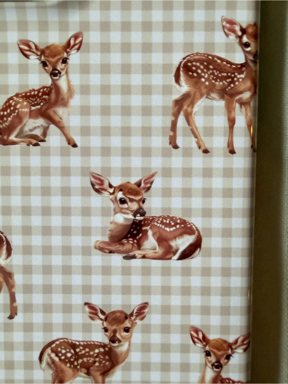 BURGA iPhone 15 Case Lot of 2 NEW Floral Roses + Deer Gingham w/ Pouches
